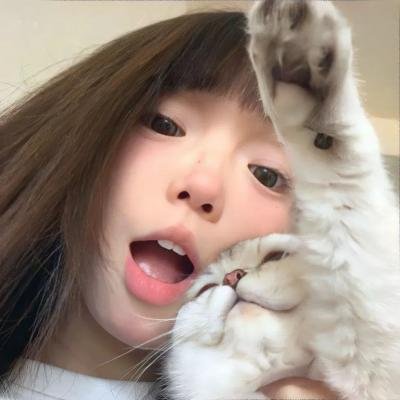 惊声尖笑6 封面